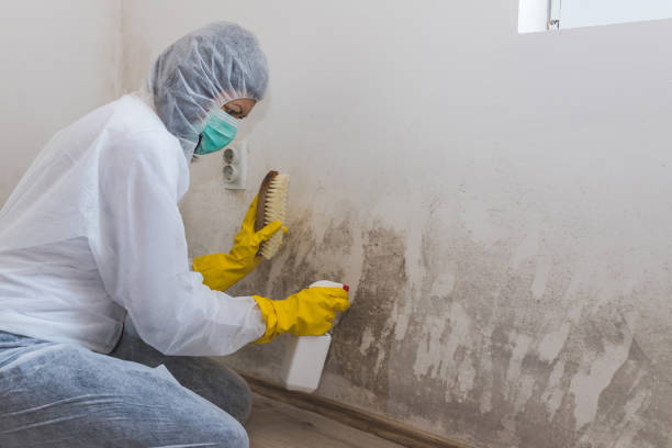 Best Mold Testing  in Moody Af, GA
