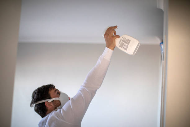 Best Emergency Mold Removal  in Moody Af, GA
