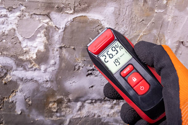 Crawl Space Mold Removal in Moody Af, GA
