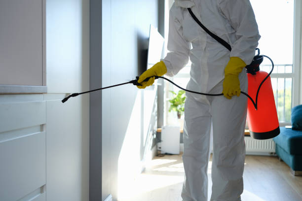 Best Office Mold Removal Services  in Moody Af, GA